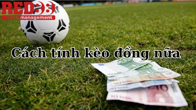 Cách tính kèo đồng nữa chính xác