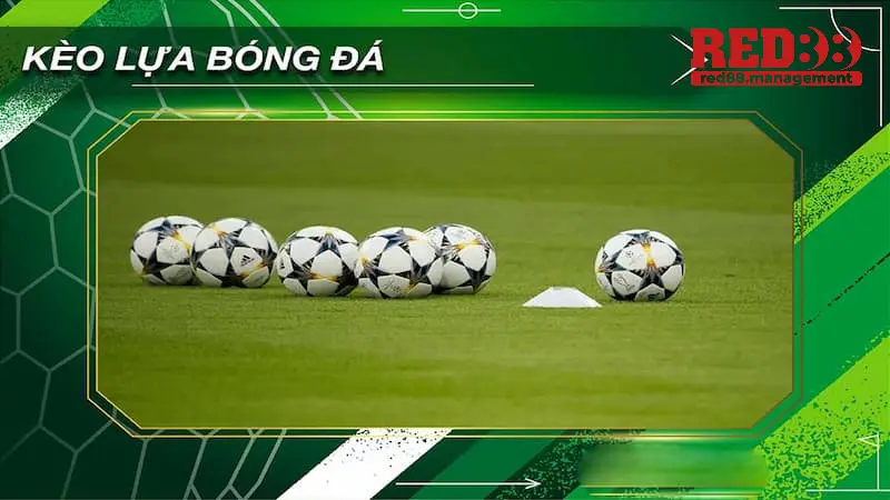 kèo lựa là gì kèo lựa là gì